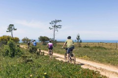 Bike Tour in the Silver Coast of Portugal - copy - copy