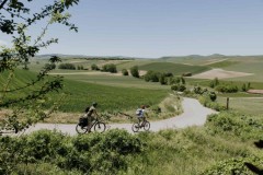 Cycling Rioja Pic1