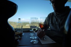 Experience the local atlantic wines in local estates.