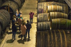 Touring Douro Wine Country - copy