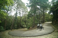 Explore Sintra's back roads and the west coast countryside