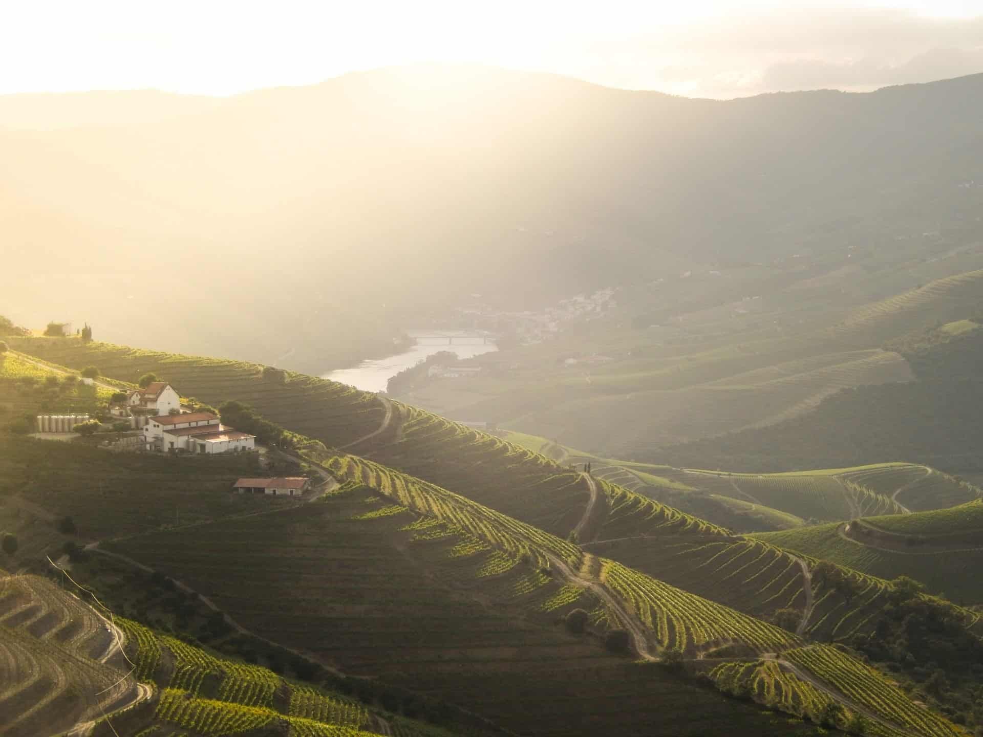 Touring Douro Wine Country