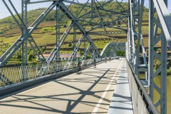 Full Day Bike Tour in Douro Valley - 04