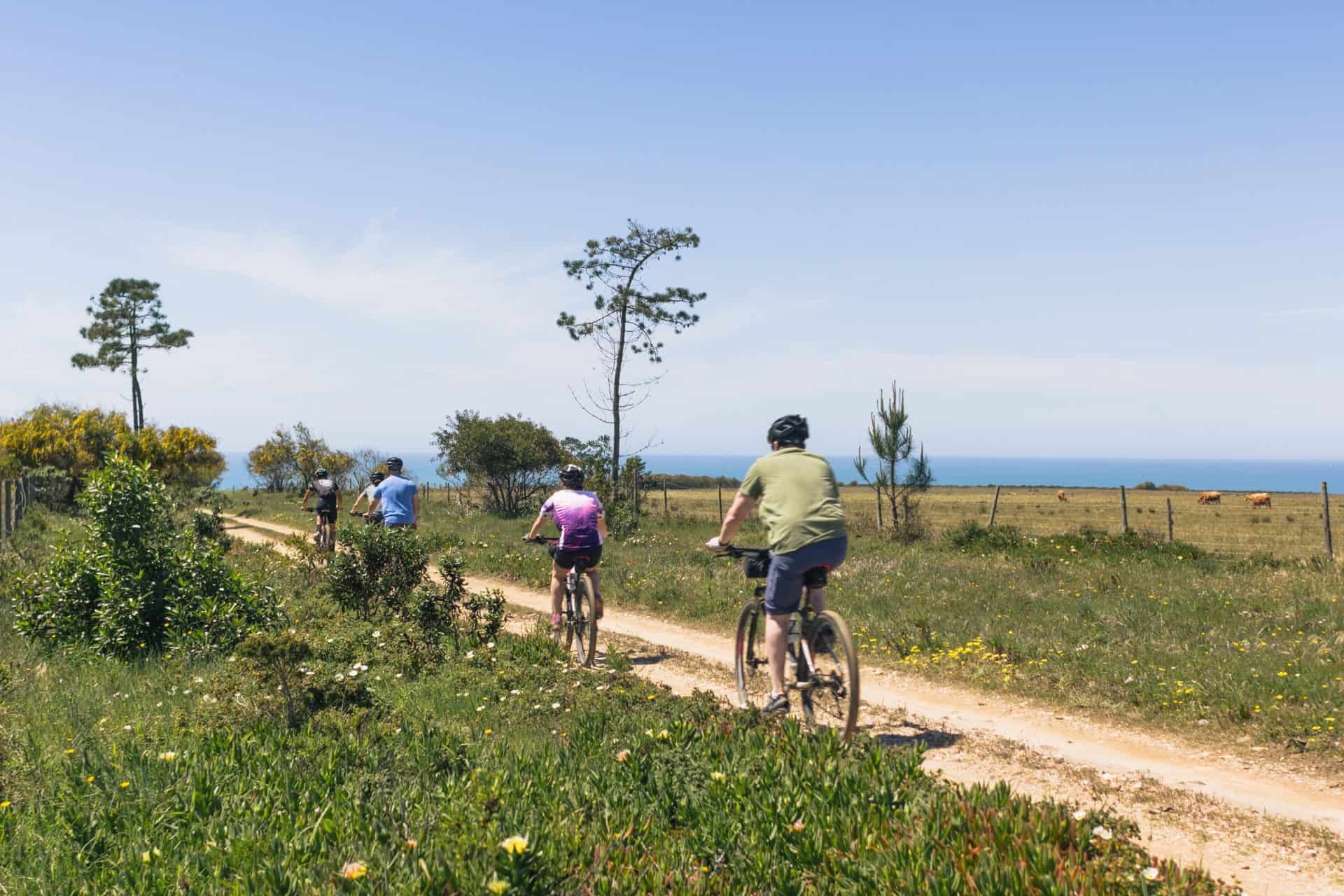 Bike Tour in the Silver Coast of Portugal